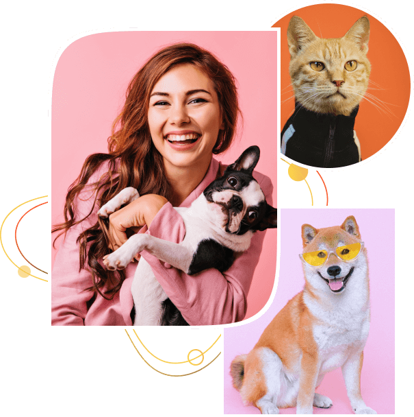 VKYAZILIM<br>VETERİNER SCRİPTİ